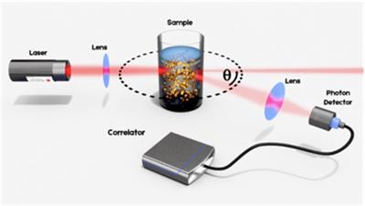 Reliable particle sizing in vaccine formulations using advanced dynamic light scattering